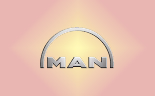 ✓ MAN 51.10100.9387 Запчасти МАН (MAN) 